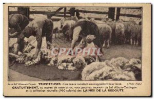 Old Postcard Advertisement Knitters Knitting Redoubt Sheep