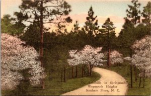 Hand Colored Vintage North Carolina Postcard - Southern Pines - Weymouth Heights