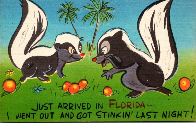 Florida Humour Skunks Just Arrived Went Out and Got Stinkin' Last Night