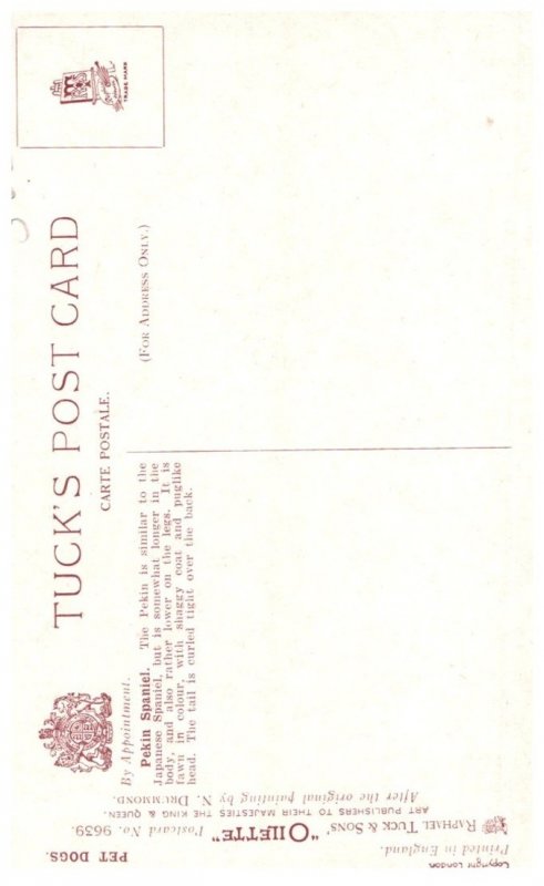 Dog ,  pekin Spaniel , artist signed