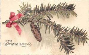 BG14687 bonne annee fir branch new year   france