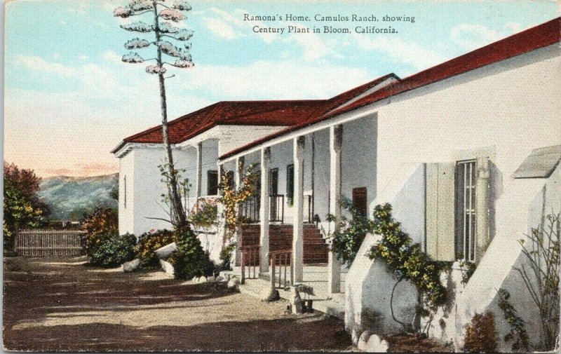 Ramona's Home Camulos Ranch CA Century Plant in Bloom UNUSED Postcard F34