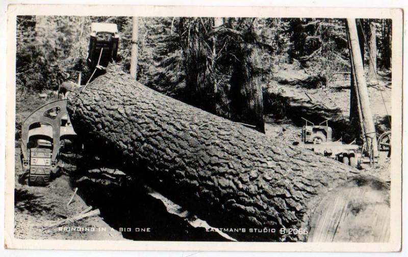 RPPC, Logging - Redwood, Ca