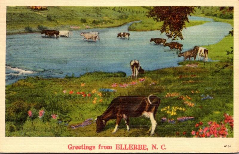 North Carolina Greetings From Ellerbe 1941