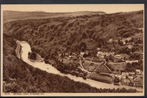 Herefordshire Postcard - General View, Symonds Yat    RT321