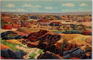 Arizona AZ, Painted Desert, Multicolored Sands, Rock, Petrified Wood, Postcard