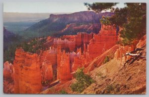 National & State Parks~Rock Forms From Above Bryce Canyon Park~Vintage Postcard