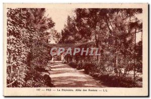 Africa - Africa - Fes - Fes - Morocco - Pepiniere the Allee des Rosiers - Old...