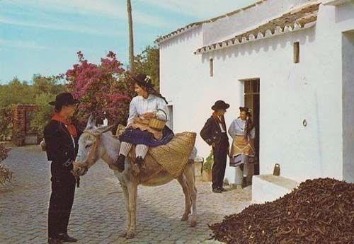 Algarve Portugal House Chalet Pony Donkey Ride Fashion Photo Costume Postcard