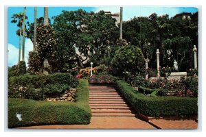Postcard Hearst San Simeon CA - Broad Tiles Steps Azaleas Rhododendrons M18