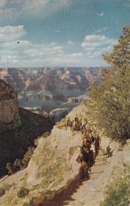 Arizona Grand Canyon Horseback Riders On Bright Angel Trail Fred Harvey