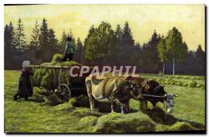 Old Postcard Folklore Grass hitch Oxen