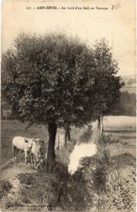 CPA AMPLEPUIS - Au bord d'un bief au Vernaye (450772)