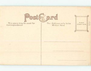 Unused Divided-Back PARK SCENE Rochester New York NY H2761