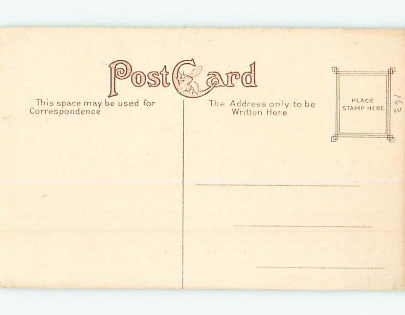 Unused Divided-Back PARK SCENE Rochester New York NY H2761