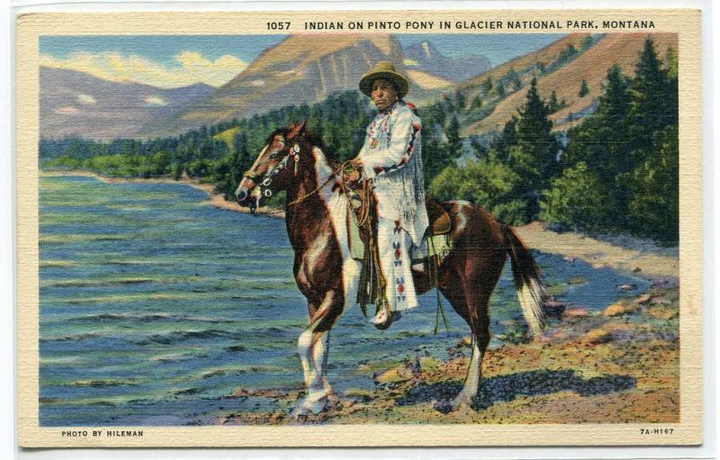 Native American Indian on Pony Glacier National Park Montana postcard