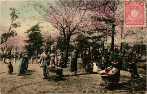 CPA AK YOKOHAMA Cherry Blossom Yokohama Park JAPAN (609375)