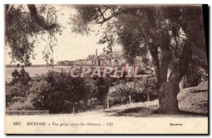 Old Postcard Menton Vue Prize Between the Olives