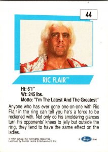 1991 WCW Wrestling Card Ric Flair sk21159