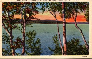 New York Adirondacks Tupper Lake Scene Of The Lake Near The Waukesha At Moody...