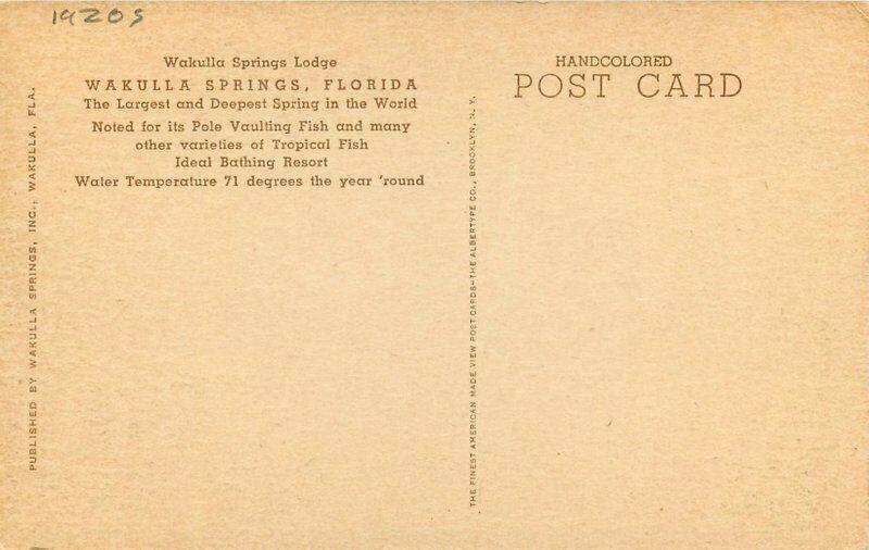 Albertype 1920s Lodge Wakulla Springs Florida hand colored Postcard 5740