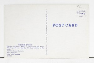 Greetings from Ohio - The Buckeye State - Postcard