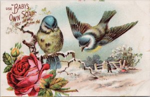 Use Babys Own Soap Advertising Birds Red Rose Nature Scene Postcard H25 *as is