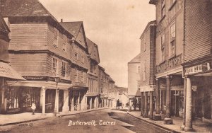 England Butterwalk Totnes Shops Lion Brewery vintage postcard