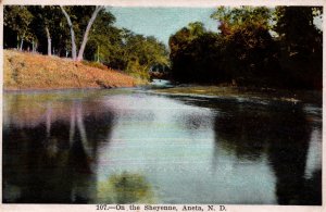 USA On The Sheyenne Aneta North Dakota Vintage Postcard 09.85