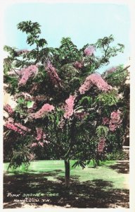 Hawaii Pink Shower Tree Honolulu Vintage RPPC 05.32