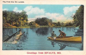 Bivalve Maryland Fishing Exaggeration Greetings Vintage Postcard AA84113