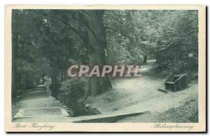 Modern Postcard Bad Harzburg Philosophenweg