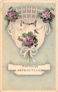 BG4206 hartelijk gefeliciteerd lilly congratulations  netherlands  greetings
