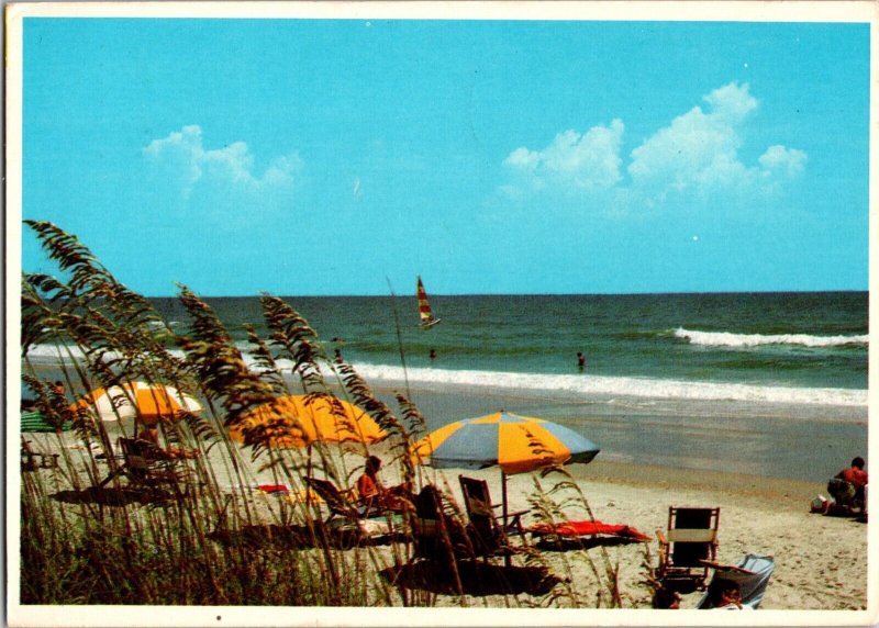 South Carolina Golden Grand Strand Beach Vintage Continental Postcard CON9