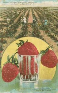 IL, Rockford,  Illinois, Advertising, Buckbee's Great Ruby Strawberries