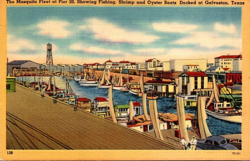 Texas Galveston The Mosquito Fleet At Pier 20 Showing Fishing Shrimp and Oyst...