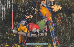 Parrot jungle Miami, Florida USA Parrot jungle Miami, Florida USA