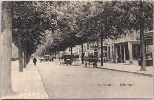 Netherlands Bussum Brinklaan Vintage Postcard 04.10