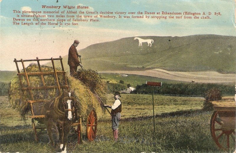 Westbury White Horse. Farming Nice old vintage English postcard