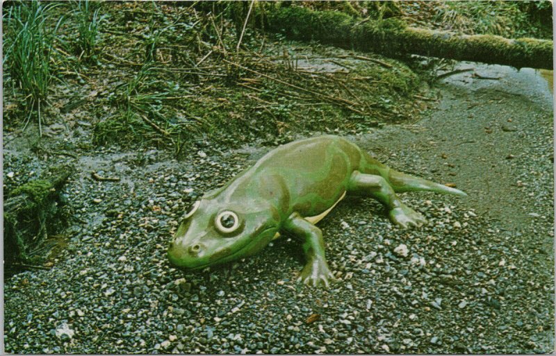 Eryops Ancient Frog Prehistoric Gardens Oregon Coast Highway Postcard E96