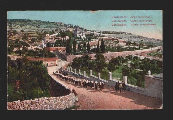 078073 Jerusalem Garden of Gethsemani Vintage PC