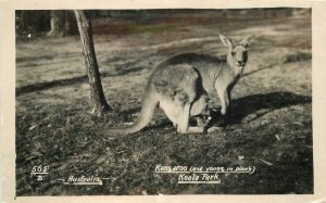 Australia Kangaroo Koala Park #565B RPPC Photo Postcard 22-6429