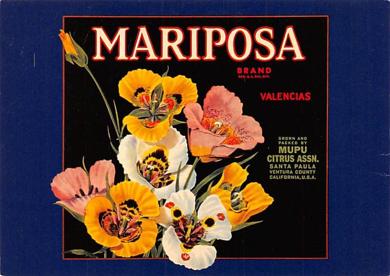 Mariposa - California