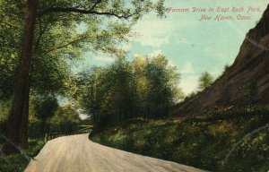 Vintage Postcard 1910's Farnam Drive East Rock Park New Haven Connecticut CT