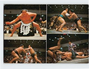 Postcard Sumo Wrestling National Sport of Japan