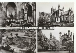 Cheshire Postcard - Views of Chester Cathedral - Real Photograph - Ref AB2630