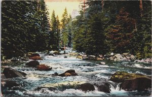 Cascade of Merced River Yosemite Valley California Vintage Postcard C105
