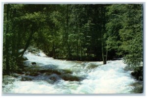 Santa Monica California Postcard Yosemite National Park Happy Isles Scene 1951