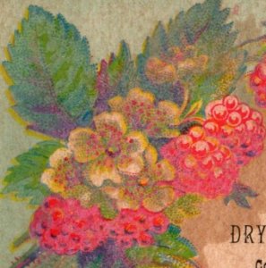 1880s F. W. Wolf Dry Goods & Notions Raspberries F116