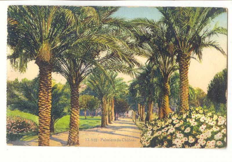 Nice Postcard Ancient castle Palms